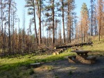 This campground shows the impact of the Parish Creek fire in 20